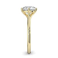 Dalia