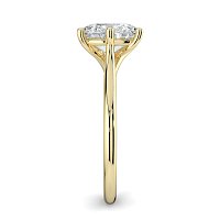 Dalia