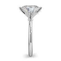 Tulip Petal