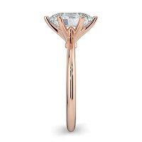 Tulip Petal