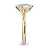 Tulip Petal