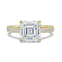 Dalia Claw Set