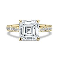 Dalia Claw Set