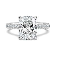 Dalia Claw Set
