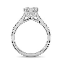 Dalia Claw Set