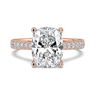 Dalia Claw Set