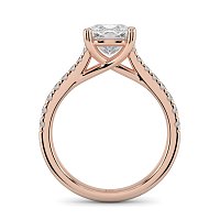 Dalia Claw Set