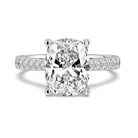 Dalia Claw Set