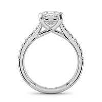 Dalia Claw Set
