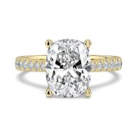 Dalia Claw Set