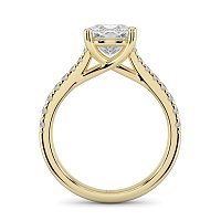 Dalia Claw Set