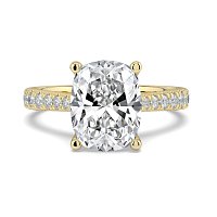 Dalia Claw Set