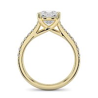 Dalia Claw Set