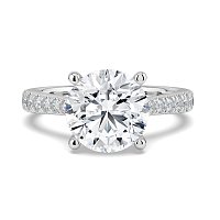 Dalia Claw Set