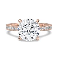 Dalia Claw Set
