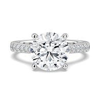 Dalia Claw Set