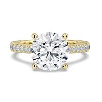 Dalia Claw Set
