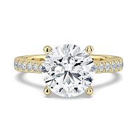 Dalia Claw Set