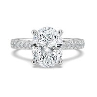 Dalia Claw Set