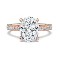 Dalia Claw Set