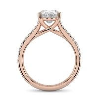Dalia Claw Set