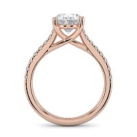 Dalia Claw Set