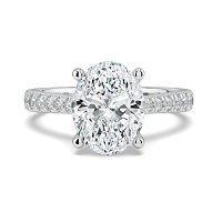 Dalia Claw Set