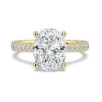 Dalia Claw Set