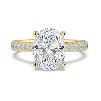 Dalia Claw Set