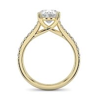 Dalia Claw Set