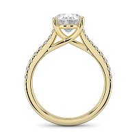 Dalia Claw Set