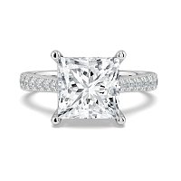 Dalia Claw Set