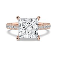Dalia Claw Set