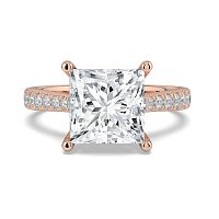 Dalia Claw Set