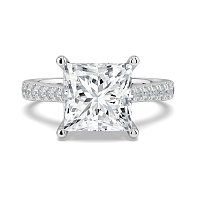 Dalia Claw Set