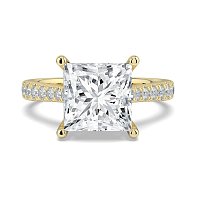 Dalia Claw Set