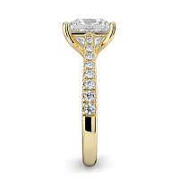 Dalia Claw Set
