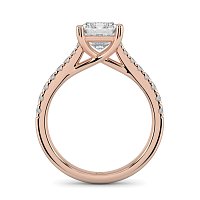 Dalia Claw Set