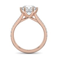 Dalia Claw Set