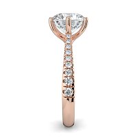 Dalia Claw Set