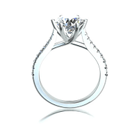 Dalia Claw Set