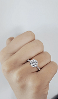 Dalia Claw Set