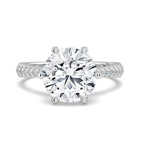 Dalia Claw Set