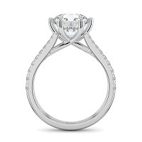 Dalia Claw Set