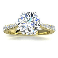 Dalia Claw Set