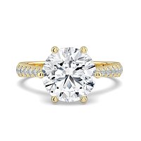 Dalia Claw Set