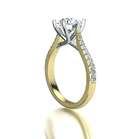 Dalia Claw Set