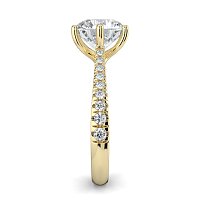 Dalia Claw Set