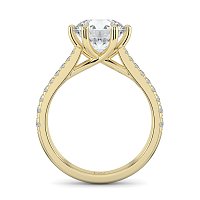 Dalia Claw Set