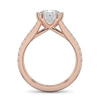 Dalia Claw Set